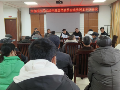 六合垸社区召开居委会成员民主评优会议