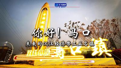 视频 | 你好！马口   未来的汉江经济带工业名镇  马年看马口  奔腾向未来