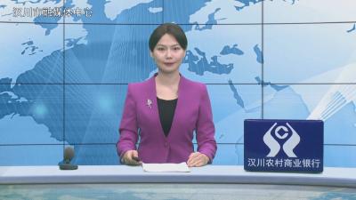 汉川新闻20260205