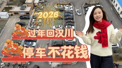 视频 | 【新春走基层】过年回汉川 停车不花钱 年味拉满!