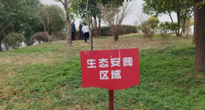 汉川市实现首例生态安葬