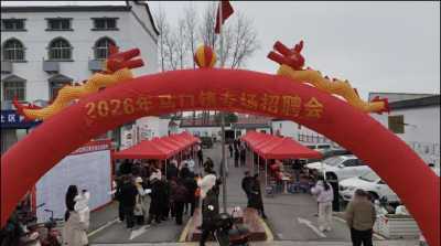 马口镇：一场招聘会，一站式解决就业、婚恋与文化需求