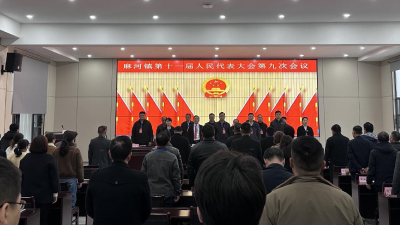 票决民生实事 选任实干干部—— 麻河镇十一届人大九次会议圆满召开