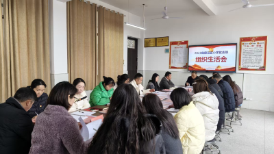 汉正小学党支部召开2025年度组织生活会和民主评议党员会议
