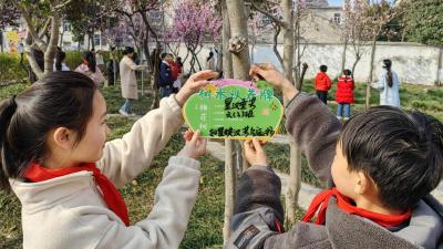 汉川市新堰镇中心小学开展植树节树木认养主题活动