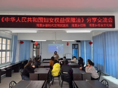 湾潭乡开展妇女权益保障法专题宣讲