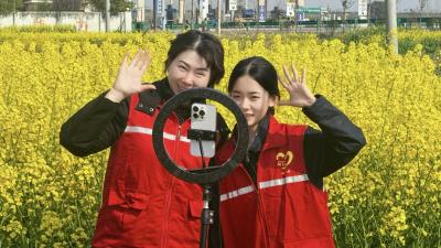 菜花遍地春光好 直播赋能乡村游