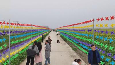 【视频】国网汉川市供电公司： 电力护航添亮色 人机协同保畅通