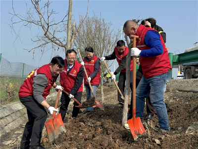 春染中洲植新绿 共建家园正当时