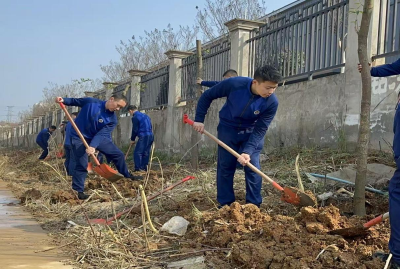 春植正当时！马口镇以“万树村”建设解锁生态发展新密码