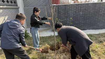 植树添绿祭英烈 砥砺奋进新征程 