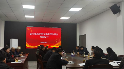 庙头镇机关党支部召开2025年度组织生活会