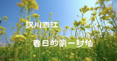 视频 | 【点亮汉江·点燃春天】 张彤探美城：汉川西江 春日的第一封信 听说看过西江油菜花开的人 一整年都会过得温暖明亮