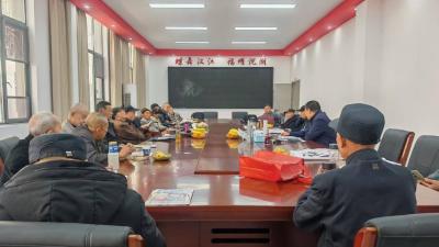 沉湖镇退休干部党支部开展树立和践行正确政绩观学习教育专题学习