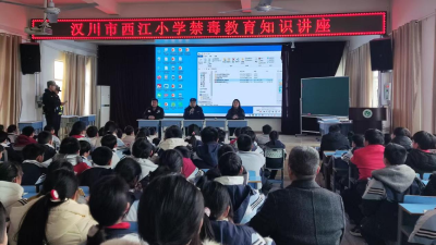 西江小学开展禁毒教育知识讲座