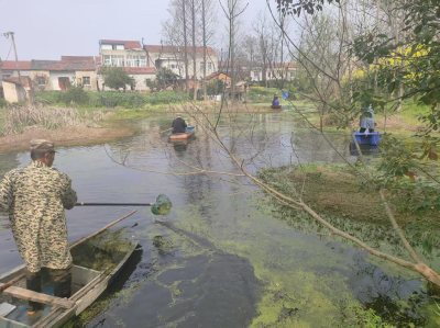 汉川市沉湖镇刘洲村：清理沟渠“梳妆容” 绿水青山入画来