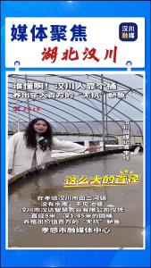 视频 | 【媒体聚焦】谁懂啊！汉川人靠个桶养出年入百万的“无抗”鲈鱼