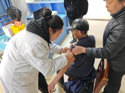 51分钟暖心救援！回龙镇干部紧急帮扶犬伤独居老人