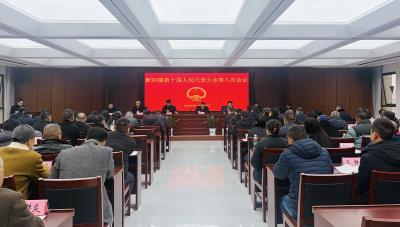 新河镇第十届人民代表大会第八次会议胜利召开
