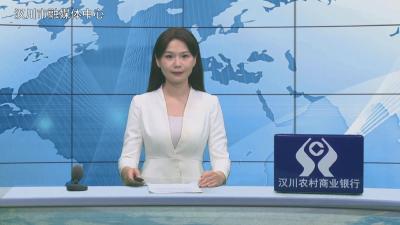 汉川新闻20260306