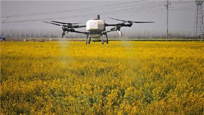 脉旺镇：无人机飞防助春耕 2000亩油菜田享免费“药肥餐” 