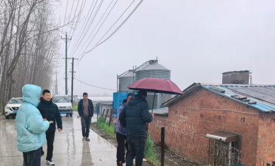 守好绿水青山 筑牢民生福祉——分水镇开展涉水环境问题排查整治行动