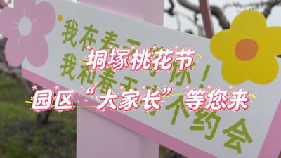 视频 | 【桃韵良缘 情定垌塚】 3月27日，垌塚桃花文化旅游季，园区“大家长”等您来！