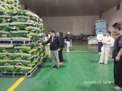 联动监管守粮仓 春季普查护安全