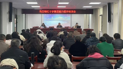 马口镇召开红十字会基层能力提升培训会