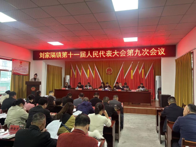 刘家隔镇2026年民生实事项目票决敲定