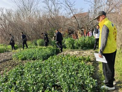 汈东街道：守土有责护民安 踏查无死角铲毒患