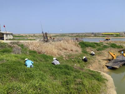 刘家隔血防组扎实推进查螺灭螺工作