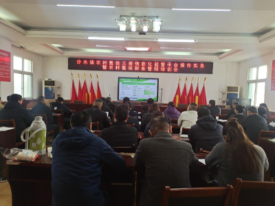 以训赋能强监管 规范“三资”促发展——分水镇组织开展农村集体“三资”管理视频培训会