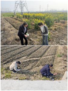 田间监管守底线 宣传引导筑防线——分水镇开展农产品质量安全监管专项整治行动