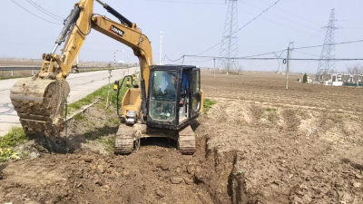 西江乡万树村绿化建设如火如荼 绘就生态宜居新画卷