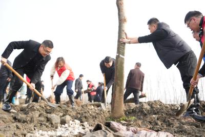 在汉川北站旁，植下“美城”新绿 ——汈东街道开展义务植树活动
