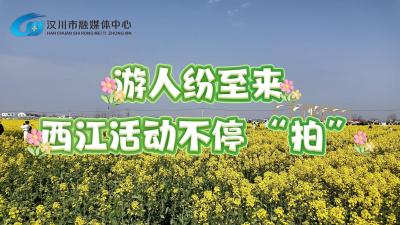 视频 | 【点亮汉江·点燃春天】游客纷至来 西江活动不停“拍”