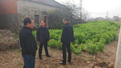 禁种铲毒守底线 履职尽责护平安