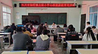 脉旺镇北街小学：夯实教师心理教育基本功 当好心灵引路人