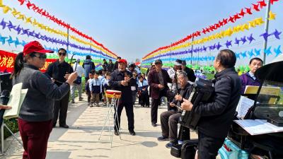 油菜花海里的“夕阳红” 分水镇民乐队送艺暖人心