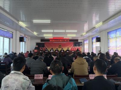 脉旺镇召开镇村干部大会 ——乘势而为 加力奋进探索打造西部地区“绿塑小镇”