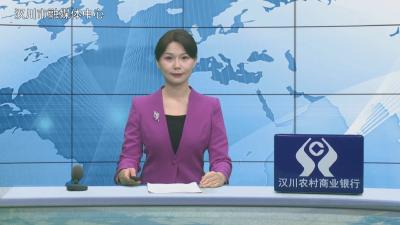  汉川新闻20260311