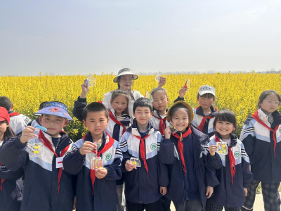 金黄花海绘春色 田间课堂润童心
