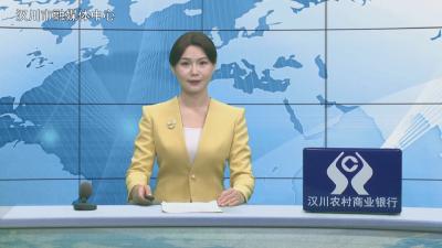 汉川新闻20260312