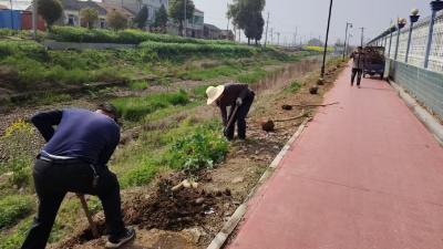 田二河：春雨贵如油 植树正当时