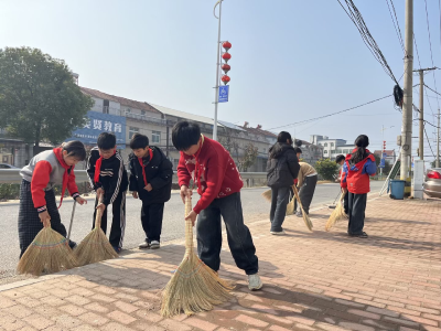 湾潭乡三汊小学学雷锋见行动 清扫街道美家园