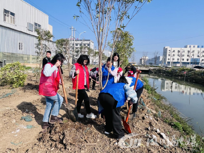 刘家隔镇妇联积极开展植树节主题活动