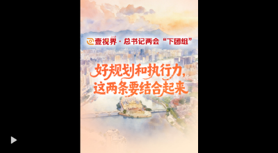 壹视界·总书记两会“下团组”丨好规划和执行力，这两条要结合起来