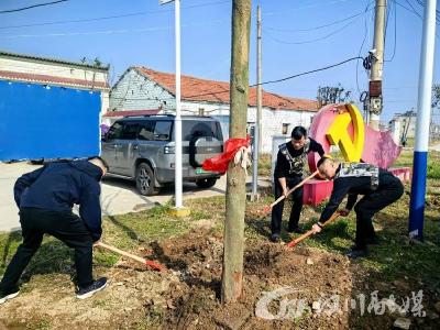 植绿护路绘新卷 强产美城兴万树 汉川市分水镇开展义务植树活动