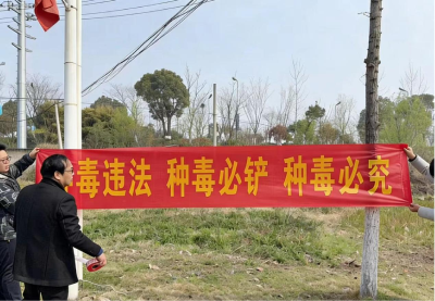 守护绿色净土 马口镇开展禁种铲毒专项行动